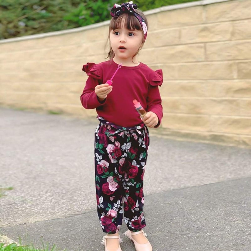 SANMIO Toddler Girl Clothes 3T Girl Toddler Clothes Cute Ruffle Top+ Floral Pants Set 2T-3T Little Girl Fall Outfits - Image 2